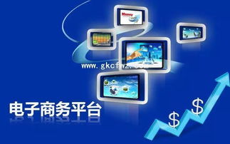 专业 小小电商,改变世界 电子商务