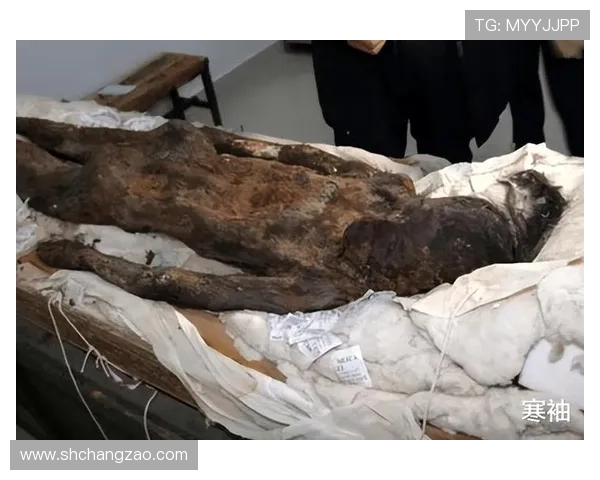 7个细节揭开女尸谜案背后10年的阴谋 7个细节揭开女尸谜案背后10年的阴谋