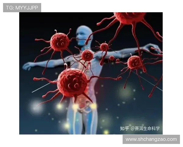 当流感病毒入侵大银幕：一部关于生存、人性与希望的史诗